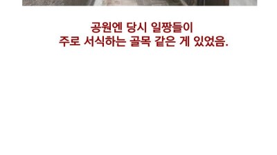 골목길 누나 가슴 본썰
