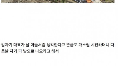 대표가 자길 아들처럼 생각한다는 중갤러