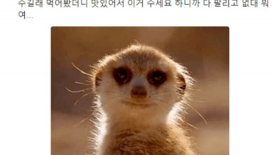 빵집 직원 능욕잼