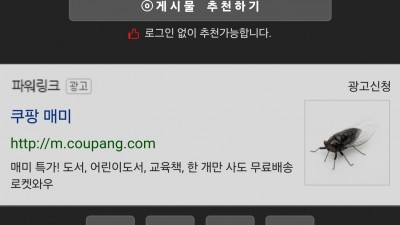별걸 다 파는 쿠팡
