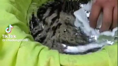 어느 틱톡커의 미친 짓