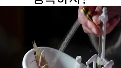 새우야 행복하지?