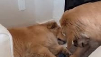아빠 안잔다.gif