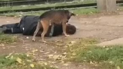 술취해서 뻗었다가 봉변당함
