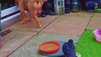 친한친구 한테만 하는 장난ㅋㅋ