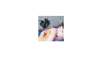 1분 만에 까치와 친구가 됨