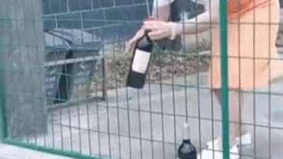난감하네
