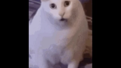 ???: 여보, 친구들이랑 집 앞에서 한잔 하고 와도 돼?