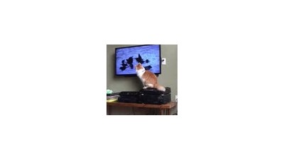 뜻밖의 타이밍---티비.gif