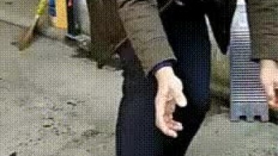 동물타이밍은 지금뿐
