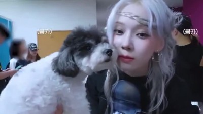 강아지 냄새 맡는 윈터.mp4