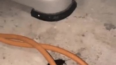 속이 시원해지는 짤.gif
