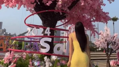 안지현 치어리더.gif
