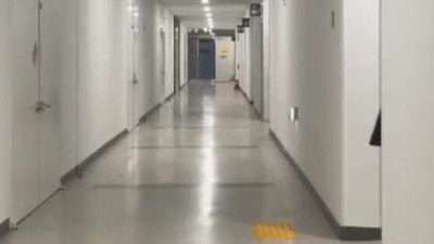 고말숙 비율 체감