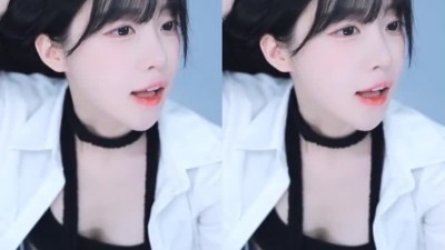 박삐삐 여캠모드