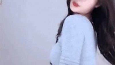 솜찌 회색 돌핀