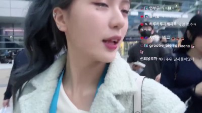스트리머 해나