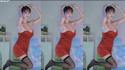 둘기얏