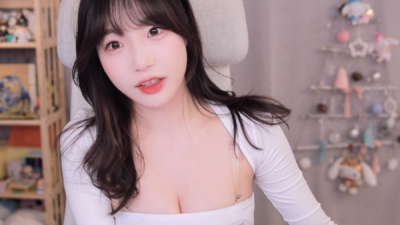 야릇한게임패드의상수련수련레전드여캠