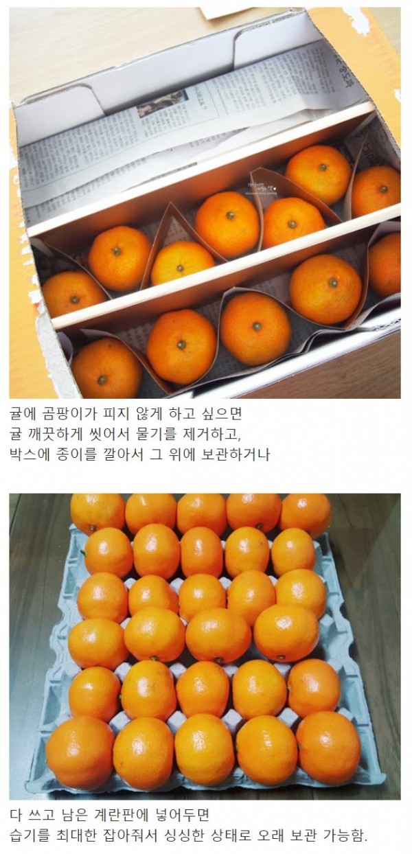 1760a0046cb51a42.jpeg