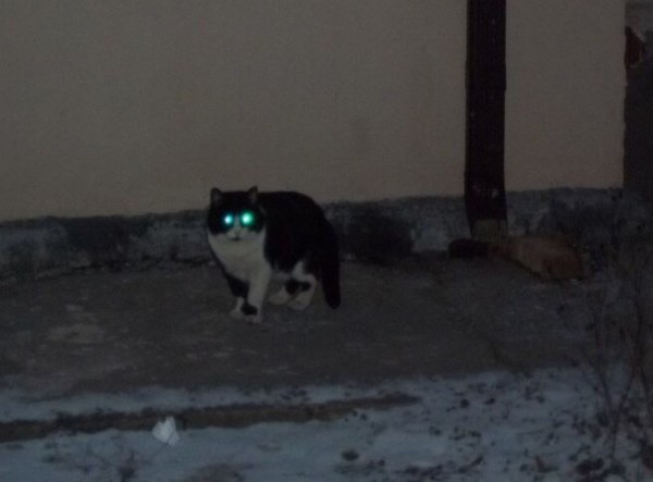 1090285150_rTzyWecb_1737421699.jpeg
