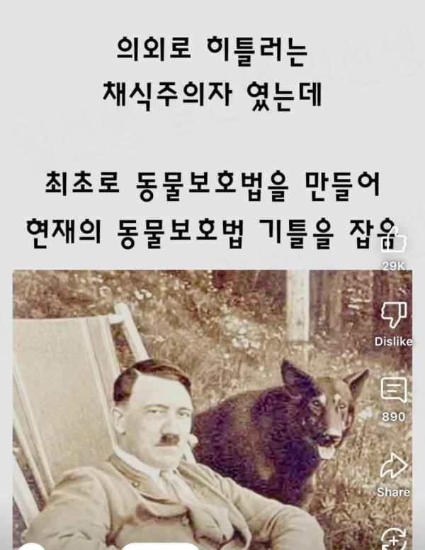 1090285490_OPKhf9oB_1737768324.jpeg