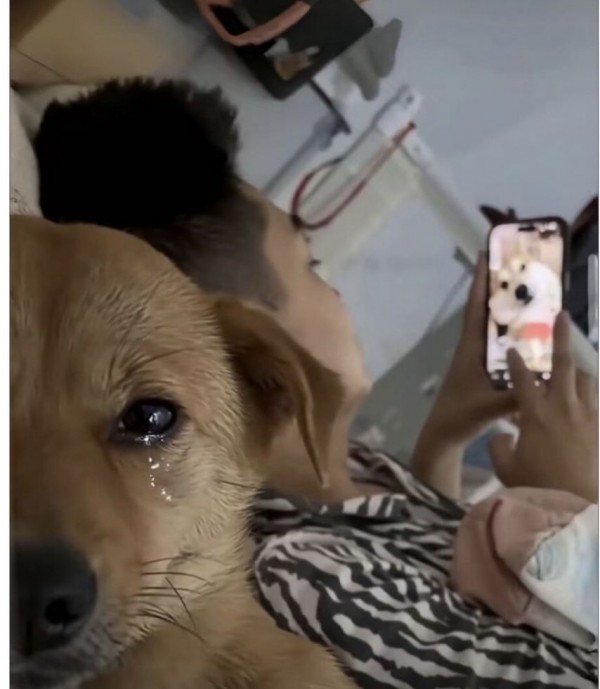 1090285652_3OMIyb9h_1739586979.jpeg