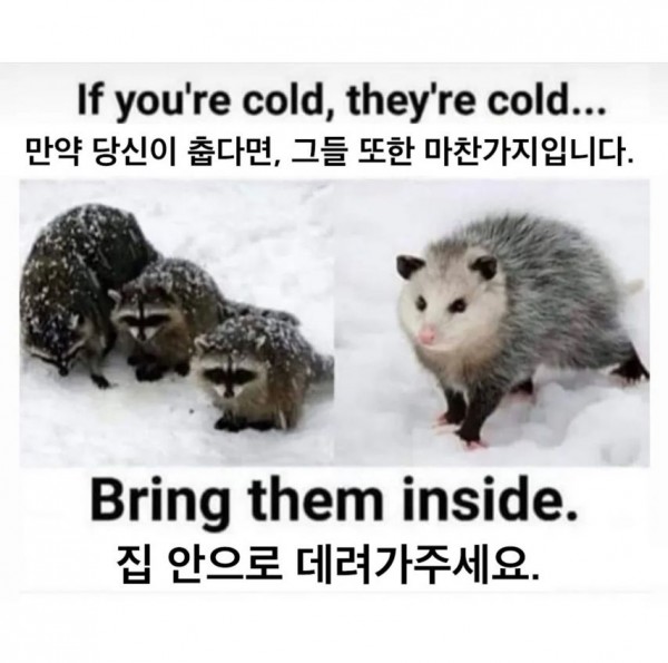 1090285652_CUG9Idnh_1739587051.jpg