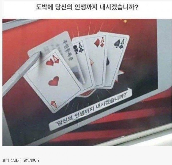 1090285913_NdBGsKk8_1739415030.jpeg
