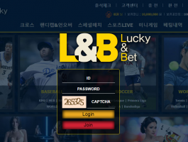 엘엔비.png