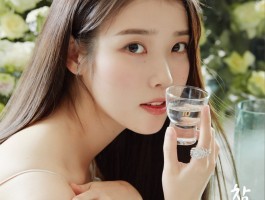 아이유 참이슬