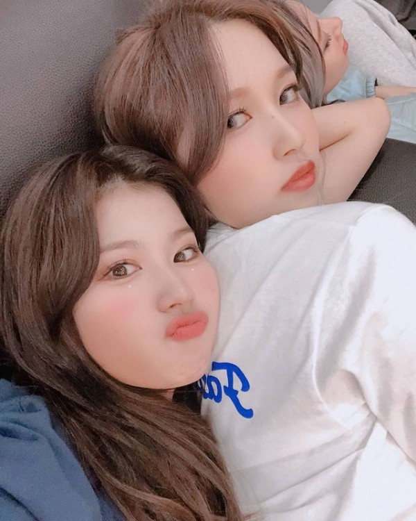 미나가 너무 좋은 사나