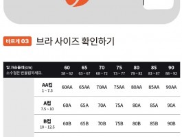 브라자 사이즈를 알아보자